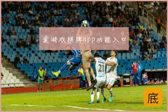 爱游戏棋牌app功能入口