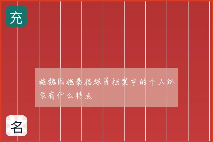 施魏因施泰格球员档案中的个人纪录有什么特点